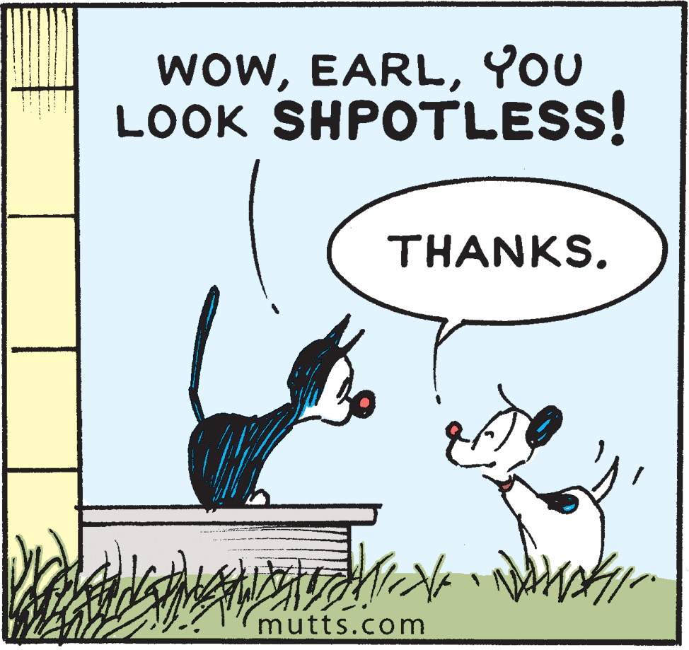 Illustration OCR: woWYou LOOK SHPOTLESS! THANKS. mutts.com woWYou LOOK SHPOTLESS! THANKS. mutts.com