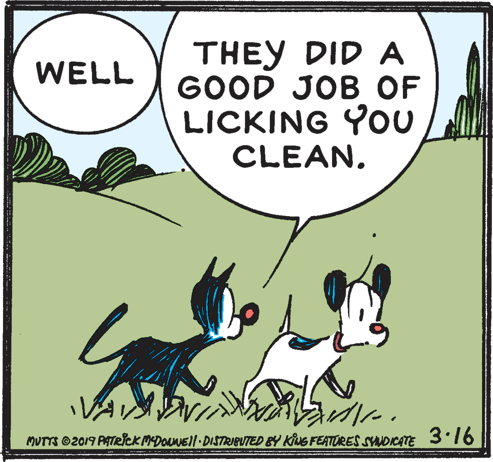 Adaptation OCR: THEY DID A GOOD JOB OF LICKING YOu CLEAN. WELL MUTTS ©2019 PATelCKMDOANEl-DISTRIBUTED BY KING FEATÚRES SYNOICATE 3:16 THEY DID A GOOD JOB OF LICKING YOu CLEAN. WELL MUTTS ©2019 PATelCKMDOANEl-DISTRIBUTED BY KING FEATÚRES SYNOICATE 3:16