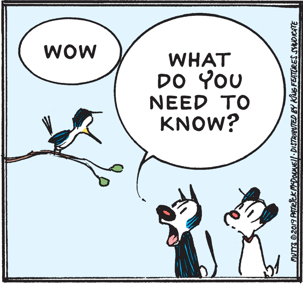 Art OCR: WOW WHAT DO YOU NEED TO KNOW? MUTTS 02019 PATRckMDOANEll DISTRIBUTED BY KING FEATURES SYNDICATE WOW WHAT DO YOU NEED TO KNOW? MUTTS 02019 PATRckMDOANEll DISTRIBUTED BY KING FEATURES SYNDICATE