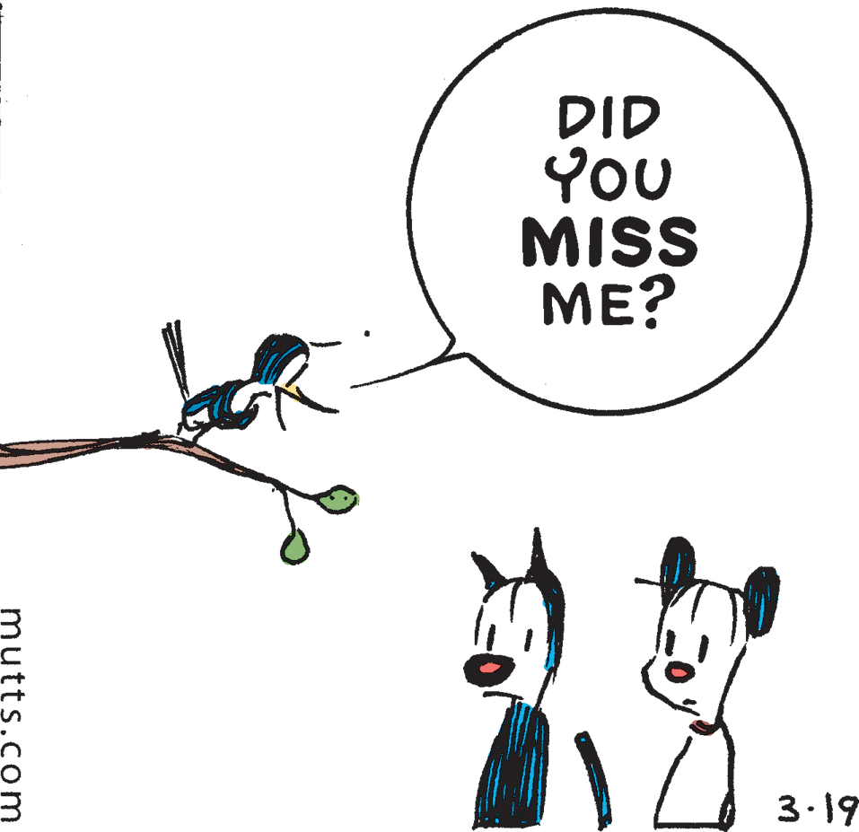 Art OCR: DID YOU MISS ??? 3.19 mutts.com DID YOU MISS ??? 3.19 mutts.com