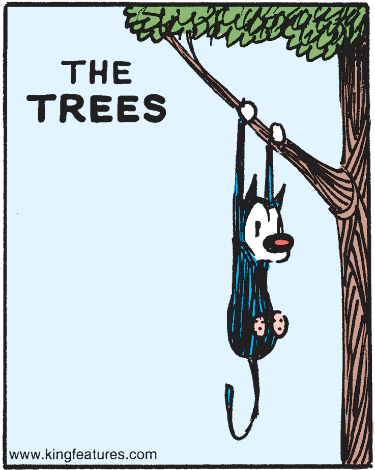 Art OCR: THE TREES www.kingfeatures.com THE TREES www.kingfeatures.com