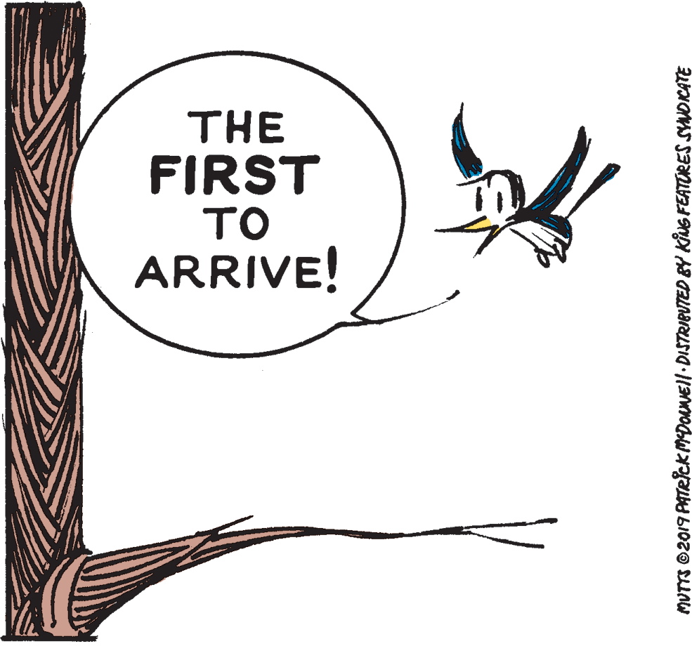Rectangle OCR: THE FIRST TO ARRIVE! MUTTS ©2019 PATRicK MDOuNEl DISTRIPUTED BY KING FEATURES SADICATE THE FIRST TO ARRIVE! MUTTS ©2019 PATRicK MDOuNEl DISTRIPUTED BY KING FEATURES SADICATE
