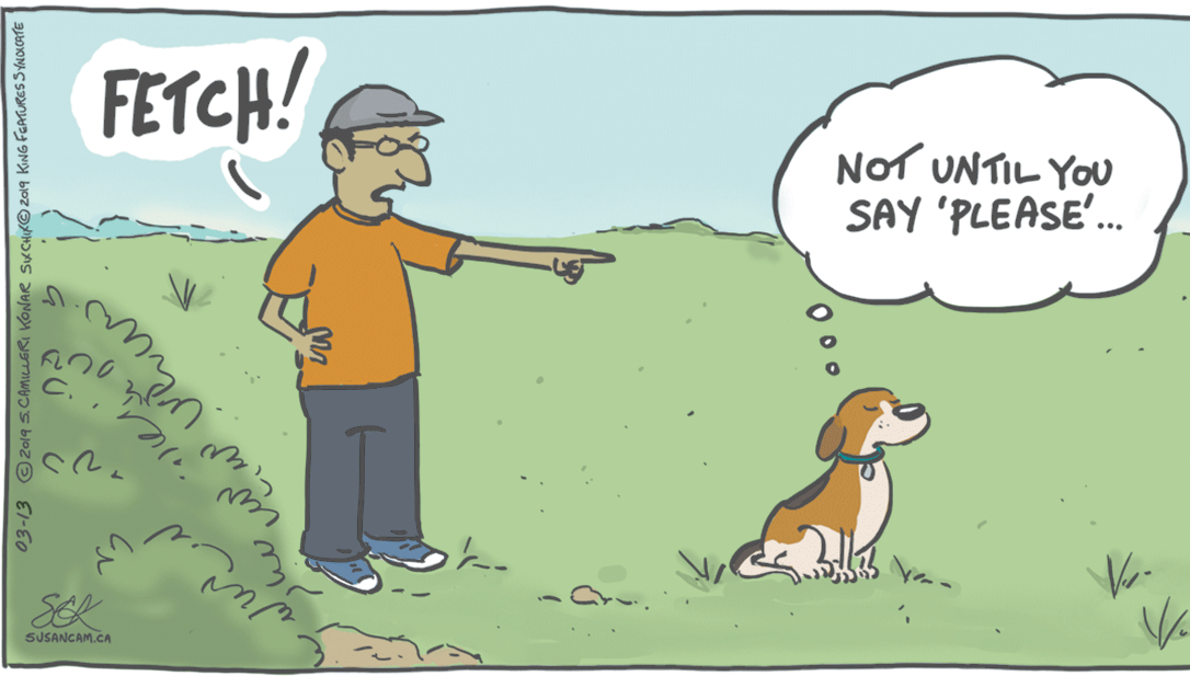 Fiction OCR: FETCH! NoT UNTIL YOU SAY 'PLEASE. C. SUSANCAM.CA 03-13 2o19S.CAMILLERI KONAR SKCHIK© 2ol9 KING FGATURES SYNOICATE FETCH! NoT UNTIL YOU SAY 'PLEASE. C. SUSANCAM.CA 03-13 2o19S.CAMILLERI KONAR SKCHIK© 2ol9 KING FGATURES SYNOICATE