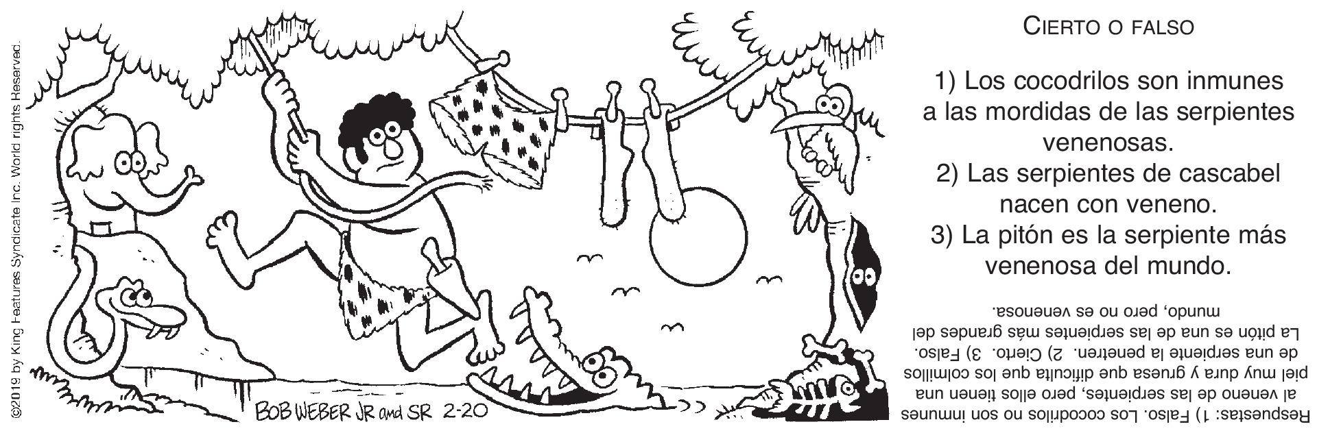 Font OCR: CIERTO O FALSO 1) Los cocodrilos son inmunes a las mordidas de las serpientes venenosas. 2) Las serpientes de cascabel nacen con veneno. 3) La pitón es la serpiente más venenosa del mundo. mundopero no es venenosa. La pitón es una de las serpientes más grandes del de una serpiente la penetren. 2) Cierto. 3) Falso. piel muy dura y gruesa que dificulta que los colmillos BOB WEBER JR ad SR 2-20 al veneno de las serpientespero ellos tienen una Respuestas: 1) Falso. Los cocodrilos no son inmunes C2019 by King taatures Syndicate iInc. World right CIERTO O FALSO 1) Los cocodrilos son inmunes a las mordidas de las serpientes venenosas. 2) Las serpientes de cascabel nacen con veneno. 3) La pitón es la serpiente más venenosa del mundo. mundopero no es venenosa. La pitón es una de las serpientes más grandes del de una serpiente la penetren. 2) Cierto. 3) Falso. piel muy dura y gruesa que dificulta que los colmillos BOB WEBER JR ad SR 2-20 al veneno de las serpientespero ellos tienen una Respuestas: 1) Falso. Los cocodrilos no son inmunes C2019 by King taatures Syndicate iInc. World right