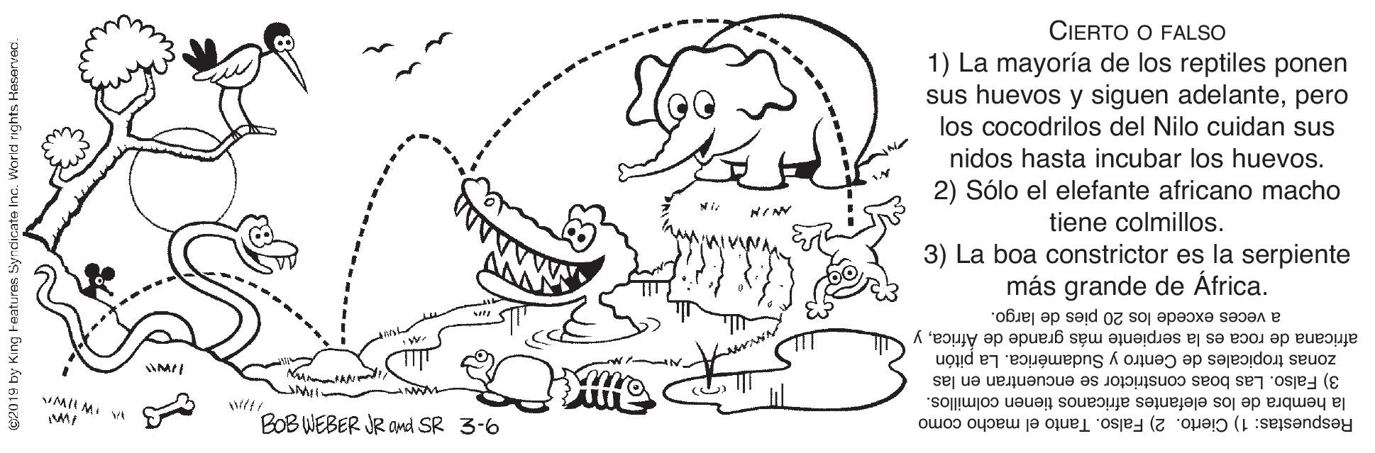 Gesture OCR: CIERTO O FALSO 1) La mayoría de los reptiles ponen sus huevos y siguen adelantepero los cocodrilos del Nilo cuidan sus nidos hasta incubar los huevos. 2) Sólo el elefante africano macho tiene colmillos. 3) La boa constrictor es la serpiente más grande de África. a veces excede los 20 pies de largo. africana de roca es la serpiente más grande de Africay zonas tropicales de Centro y Sudamérica. La pitón 3) Falso. Las boas constrictor se encuentran en las la hembra de los elefantes africanos tienen colmillos. Respuestas: 1) Cierto. 2) Falso. Tanto el macho como MII MII MI V ti BOB WEBER JR Omd SR 3-6 g2019 by King F eatures Syno CIERTO O FALSO 1) La mayoría de los reptiles ponen sus huevos y siguen adelantepero los cocodrilos del Nilo cuidan sus nidos hasta incubar los huevos. 2) Sólo el elefante africano macho tiene colmillos. 3) La boa constrictor es la serpiente más grande de África. a veces excede los 20 pies de largo. africana de roca es la serpiente más grande de Africay zonas tropicales de Centro y Sudamérica. La pitón 3) Falso. Las boas constrictor se encuentran en las la hembra de los elefantes africanos tienen colmillos. Respuestas: 1) Cierto. 2) Falso. Tanto el macho como MII MII MI V ti BOB WEBER JR Omd SR 3-6 g2019 by King F eatures Syno