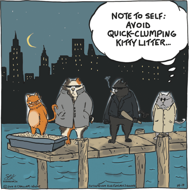 Animated cartoon OCR: NOTE TO SELF: AVOID QUICK-CLUMPING KITTY LITTER. SER SUSANCAM.CA © 2019 S.CAMILLERI KONAR SKCHIKO Z019 KING FEATURES S YNOLCATE 04-17 NOTE TO SELF: AVOID QUICK-CLUMPING KITTY LITTER. SER SUSANCAM.CA © 2019 S.CAMILLERI KONAR SKCHIKO Z019 KING FEATURES S YNOLCATE 04-17