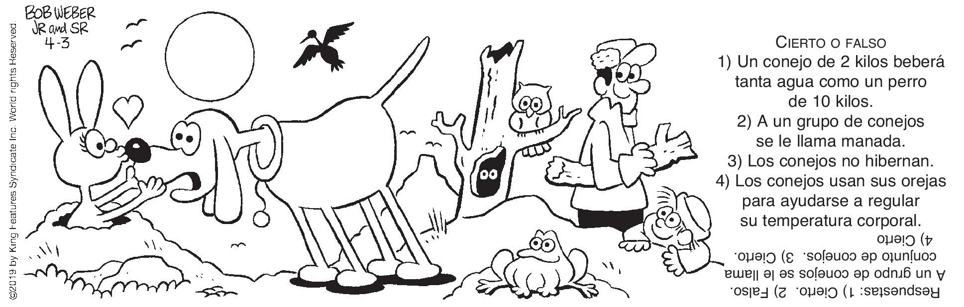 Bird OCR: BOB WEBER JR Ond SR 4.3 CIERTO O FALSO 1) Un conejo de 2 kilos beberá tanta agua como un perro de 10 kilos. 2) A un grupo de conejos se le llama manada. 3) Los conejos no hibernan. 4) Los conejos usan sus orejas para ayudarse a regular su temperatura corporal. 00 4) Cierto conjunto de conejos. 3) Cierto. A un grupo de conejos se le llama Respuestas: 1) Cierto. 2) Falso. C2019 by King Features Syndicate Inc. World rights Keserved. BOB WEBER JR Ond SR 4.3 CIERTO O FALSO 1) Un conejo de 2 kilos beberá tanta agua como un perro de 10 kilos. 2) A un grupo de conejos se le llama manada. 3) Los conejos no hibernan. 4) Los conejos usan sus orejas para ayudarse a regular su temperatura corporal. 00 4) Cierto conjunto de conejos. 3) Cierto. A un grupo de conejos se le llama Respuestas: 1) Cierto. 2) Falso. C2019 by King Features Syndicate Inc. World rights Keserved.