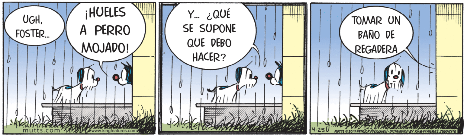 Grass OCR: ¡HUELES A PERRO MOJADO! Y. ¿QUÉ SE SUPONE UGHFOSTER. TOMAR UN BAÑO DE REGADERA QUE DEBO HACER? mutts.com 4-250 MUTS 2019 PTeEKMDOUNEll-DITRIWED EY KUS FEARES SAOCTE ¡HUELES A PERRO MOJADO! Y. ¿QUÉ SE SUPONE UGHFOSTER. TOMAR UN BAÑO DE REGADERA QUE DEBO HACER? mutts.com 4-250 MUTS 2019 PTeEKMDOUNEll-DITRIWED EY KUS FEARES SAOCTE