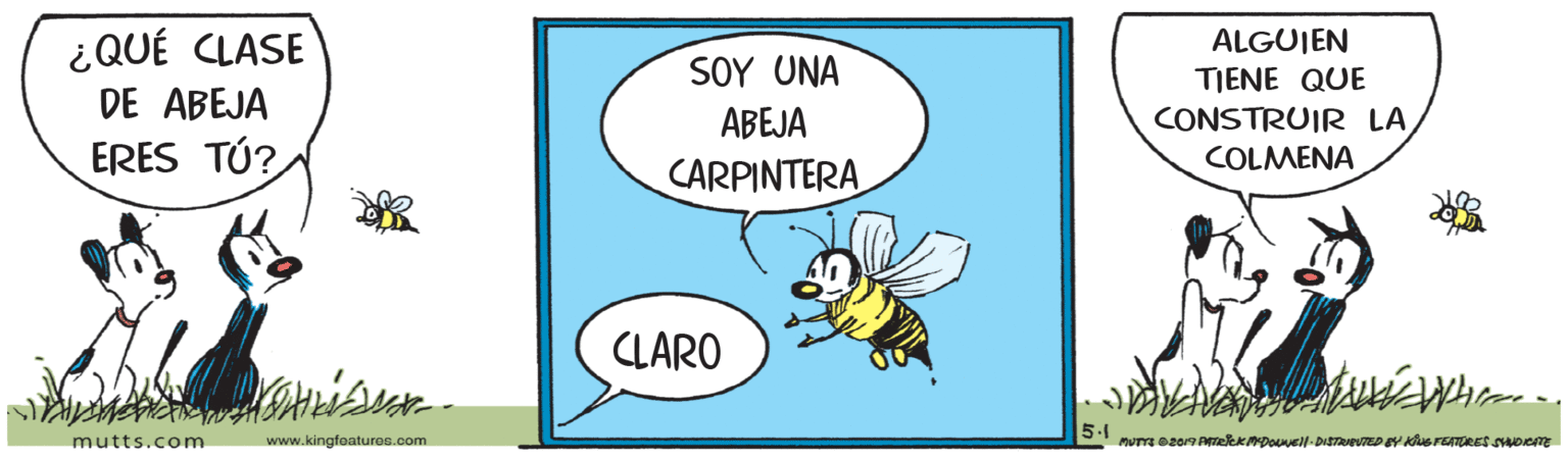 Pest OCR: ¿QUÉ CLASE DE ABEJA ERES TÚ? ALGUIEN SOY UNA TIENE QUE CONSTRUIR LA ABEJA COLMENA CARPINTERA CLARO 5.1 mutts.com www.kingfeaturas.com ¿QUÉ CLASE DE ABEJA ERES TÚ? ALGUIEN SOY UNA TIENE QUE CONSTRUIR LA ABEJA COLMENA CARPINTERA CLARO 5.1 mutts.com www.kingfeaturas.com