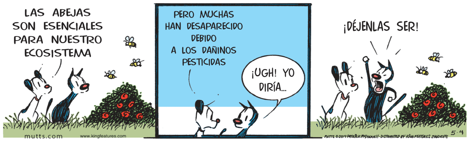 Sharing OCR: LAS ABEJAS SON ESENCIALES PERO MUCHAS HAN DESAPARECIDO ¡DÉJENLAS SER! PARA NUESTRO DEBIDO A LOS DAÑINOS PESTICIDAS ECOSISTEMA ¡UGH! YO DIRÍA. 5.4 mutts.com www.kingfeatures.com Pum ez0 AmekKMDOvell-DiSTReUTED BY Kus FEATORES soeTE LAS ABEJAS SON ESENCIALES PERO MUCHAS HAN DESAPARECIDO ¡DÉJENLAS SER! PARA NUESTRO DEBIDO A LOS DAÑINOS PESTICIDAS ECOSISTEMA ¡UGH! YO DIRÍA. 5.4 mutts.com www.kingfeatures.com Pum ez0 AmekKMDOvell-DiSTReUTED BY Kus FEATORES soeTE