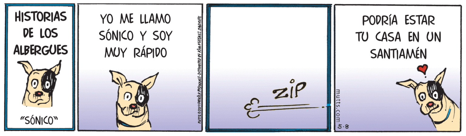Dog supply OCR: HISTORIAS YO ME LLAMO PODRÍA ESTAR DE LOS SÓNICO Y SOY MUY RÁPIDO TU CASA EN UN ALBERGUES SANTIAMÉN zip "SÓNICO" 8. mutts.com n HISTORIAS YO ME LLAMO PODRÍA ESTAR DE LOS SÓNICO Y SOY MUY RÁPIDO TU CASA EN UN ALBERGUES SANTIAMÉN zip "SÓNICO" 8. mutts.com n