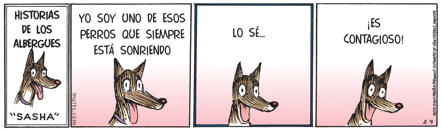 Dog supply OCR: HISTORIAS YO SOY UNO DE ESOS PERROS QUE SIEMPRE ESTÁ SONRIENDO ¡ES CONTAGIOSO! DE LOS LO SÉ. ALBERGUES "SASHA" 5.9 mutts.com HISTORIAS YO SOY UNO DE ESOS PERROS QUE SIEMPRE ESTÁ SONRIENDO ¡ES CONTAGIOSO! DE LOS LO SÉ. ALBERGUES "SASHA" 5.9 mutts.com