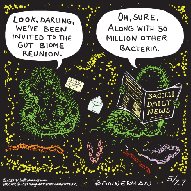 Graphics OCR: OHSURE. LookWE'VE BEEN ALONG WITH 50 MILLION OTHER INVITED TO THE GUT BIOME REUNION. BACTERIA. CALLING ALL PROKARYOTES TO JOIN US BACILLI DAILY NEWS 5/27 BANNERMAN ©2019 IsabellaBannerman SIXCHIX©2019 KingFeaturesSyndicateinc. OHSURE. LookWE'VE BEEN ALONG WITH 50 MILLION OTHER INVITED TO THE GUT BIOME REUNION. BACTERIA. CALLING ALL PROKARYOTES TO JOIN US BACILLI DAILY NEWS 5/27 BANNERMAN ©2019 IsabellaBannerman SIXCHIX©2019 KingFeaturesSyndicate