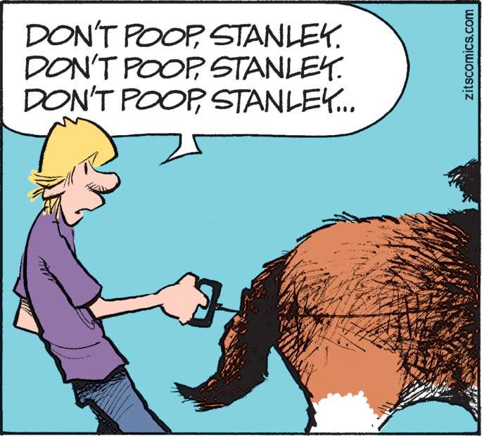 Line OCR: DON'T POOP STANLEY. DON'T POOP STANLEY. DON'T POOPSTANLEK.. zitscomics.com DON'T POOP STANLEY. DON'T POOP STANLEY. DON'T POOPSTANLEK.. zitscomics.com