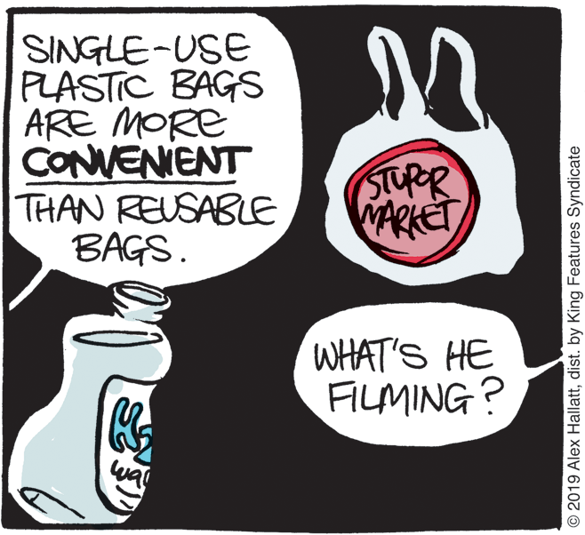 Fruit OCR: SINGLE-USE PLASTIC BAGS ARE MORE CONVENIENT THAN REUSABLE BAGS. STUPR MARKET WHAT'S HE FILMING? wa © 2019 Alex Hallattdist. by King Features Syndicate SINGLE-USE PLASTIC BAGS ARE MORE CONVENIENT THAN REUSABLE BAGS. STUPR MARKET WHAT'S HE FILMING? wa © 2019 Alex Hallattdist. by King Features Syndicate