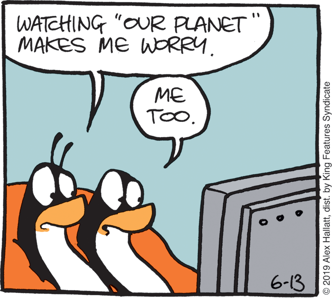 Illustration OCR: WATCHING "OUR PLANET" MAKES ME WORRY. ME TO. 6-13 © 2019 Alex Hallattdist. by King Features Syndicate WATCHING "OUR PLANET" MAKES ME WORRY. ME TO. 6-13 © 2019 Alex Hallattdist. by King Features Syndicate