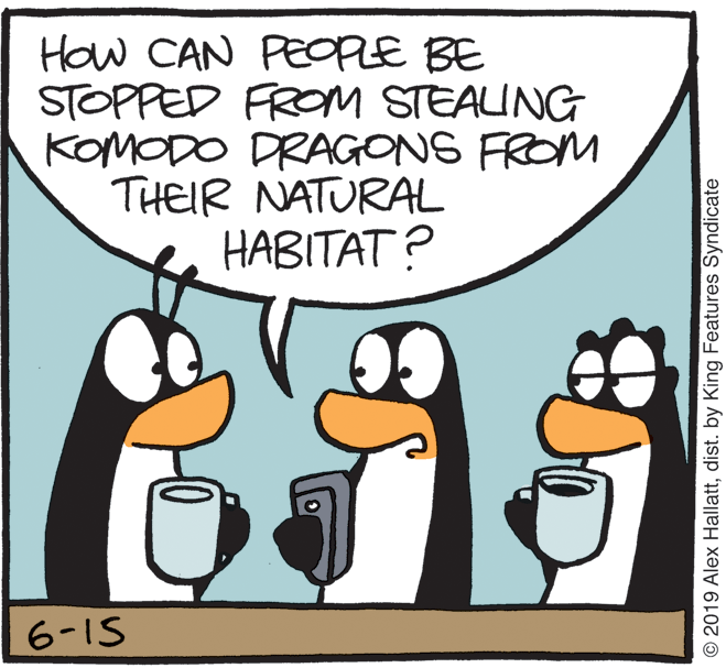 Water bird OCR: How CAN PEOPLE BE STOPPED FROM STEALING KOMODO DRAGONS FROM THEIR NATURAL HABITAT ? 6-1S © 2019 Alex Hallattdist. by King Features Syndicate How CAN PEOPLE BE STOPPED FROM STEALING KOMODO DRAGONS FROM THEIR NATURAL HABITAT ? 6-1S © 2019 Alex Hallattdist. by King Features Syndicate