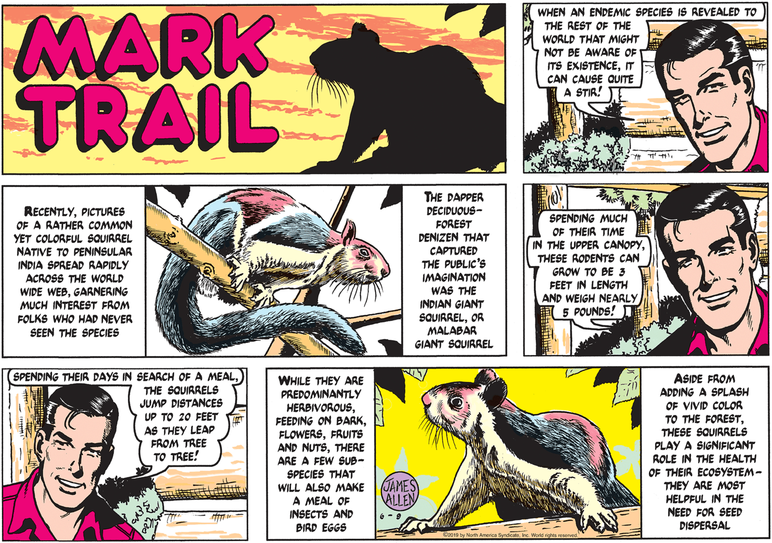 Sharing OCR: MARK TRAIL WHEN AN ENDEMIC SPECIES IS REVEALED TO THE REST OF THE WORLD THAT MIGHT NOT BE AWARE OF ITS EXISTENCEIT CAN CAUSE QUITE A STIR! THE DAPPER DECIDUOUS- FOREST DENIZEN THAT CAPTURED THE PUBLIC'S IMAGINATION WAS THE INDIAN GIANT RECENTLYPICTURES OF A RATHER COMMON YET COLORFUL SQUIRREL NATIVE TO PENINSULAR INDIA SPREAD RAPIDLY ACROSS THE WORLD WIDE WEBGARNERING MUCH INTEREST FROM FOLKS WHO HAD NEVER SEEN THE SPECIES SPENDING MUCH OF THEIR TIME IN THE UPPER CANOPYTHESE RODENTS CAN GROW TO BE 3 FEET IN LENGTH AND WEIGH NEARLY I 5 POUNDS! SQUIRRELOR MALABAR GIANT SQUIRREL SPENDING THEIR DAYS IN SEARCH OF A MEALTHE SQUIRRELS JUMP DISTANCES UP TO 20 FEET AS THEY LEAP FROM TREE TO TREE! WHILE THEY ARE PREDOMINANTLY HERBIVOROUSFRUITS AND NUTSTHERE ARE A FEW SUB- SPECIES THAT WILL ALSO MAKE A MEAL OF INSECTS AND ASIDE FROM ADDING A SPLASH OF VIVID COLOR TO THE FORESTTHESE SQUIRRELS PLAY A SIGNIFICANT ROLE IN THE HEALTH OF THEIR ECOSYSTEM- THEY ARE MOST HELPFUL IN THE NEED FOR SEED DISPERSAL JAMES ALLEN BIRD EGGS MARK TRAIL WHEN AN ENDEMIC SPECIES IS REVEALED TO THE REST OF THE WORLD THAT MIGHT NOT BE AWARE OF ITS EXISTENCEIT CAN CAUSE QUITE A STIR! THE DAPPER DECIDUOUS- FOREST DENIZEN THAT CAPTURED THE PUBLIC'S IMAGINATION WAS THE INDIAN GIANT RECENTLYPICTURES OF A RATHER COMMON YET COLORFUL SQUIRREL NATIVE TO PENINSULAR INDIA SPREAD RAPIDLY ACROSS THE WORLD WIDE WEBGARNERING MUCH INTEREST FROM FOLKS WHO HAD NEVER SEEN THE SPECIES SPENDING MUCH OF THEIR TIME IN THE UPPER CANOPYTHESE RODENTS CAN GROW TO BE 3 FEET IN LENGTH AND WEIGH NEARLY I 5 POUNDS! SQUIRRELOR MALABAR GIANT SQUIRREL SPENDING THEIR DAYS IN SEARCH OF A MEALTHE SQUIRRELS JUMP DISTANCES UP TO 20 FEET AS THEY LEAP FROM TREE TO TREE! WHILE THEY ARE PREDOMINANTLY HERBIVOROUSFEEDING ON BARKFRUITS AND NUTSTHERE ARE A FEW SUB- SPECIES THAT WILL ALSO MAKE A MEAL OF INSECTS AND ASIDE FROM ADDING A SPLASH OF VIVID COLOR TO THE FORESTTHESE SQUIRRELS PLAY A SIGNIFICANT ROLE IN THE HEALTH OF THEIR ECOSYSTEM- THEY ARE MOST HELPFUL IN THE NEED FOR SEED DISPERSAL JAMES ALLEN BIRD EGGS