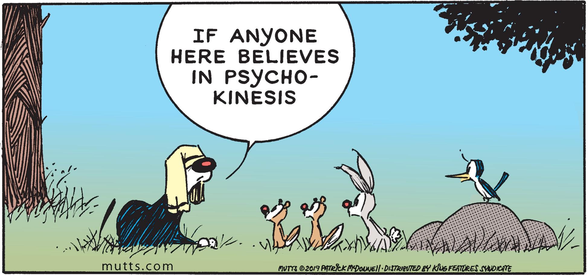 Art OCR: IF ANYONE HERE BELIEVES IN PSYCHO- KINESIS mutts.com MUTTS 2019 PATRlck MDOANEll DISTRIBUTED BY KING FEATORES SYADICATE IF ANYONE HERE BELIEVES IN PSYCHO- KINESIS mutts.com MUTTS 2019 PATRlck MDOANEll DISTRIBUTED BY KING FEATORES SYADICATE