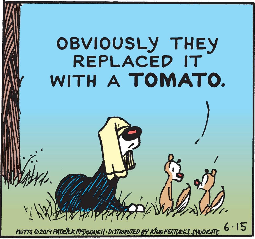 Art OCR: OBVIOUSLY THEY REPLACED IT WITH A TOMATO. 6.15 MUTTS ©2019 PATRICKMDONNEl DISTRIBUTED BY KING FEATURES SNDICATE OBVIOUSLY THEY REPLACED IT WITH A TOMATO. 6.15 MUTTS ©2019 PATRICKMDONNEl DISTRIBUTED BY KING FEATURES SNDICATE