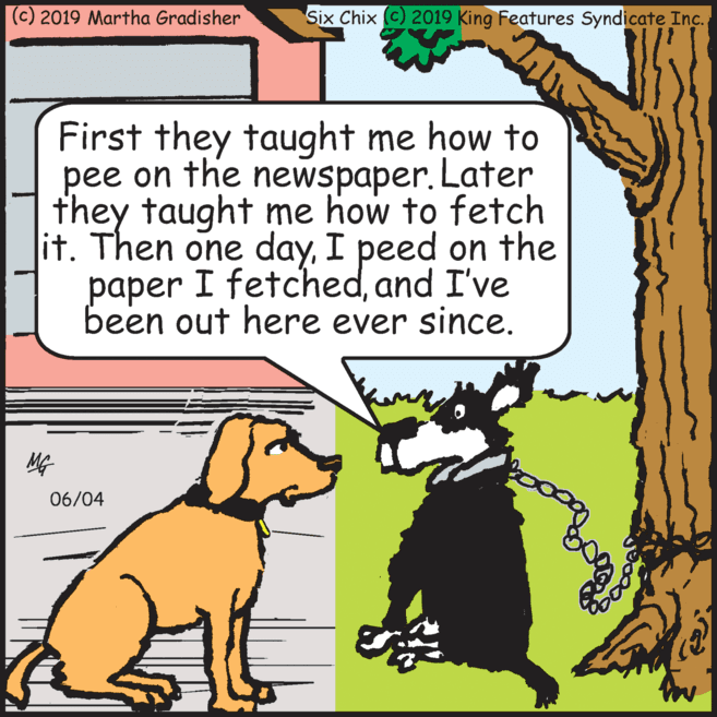 Rectangle OCR: (c) 2019 Martha Gradisher Six Chix (c) 2019 King Features Syndicate Inc. First they taught me how to pee on the newspaper. Later they taught me how to fetch it. Then one dayI peed on the paper I fetchedand I've ???er been out here ever since. MG 06/04 (c) 2019 Martha Gradisher Six Chix (c) 2019 King Features Syndicate Inc. First they taught me how to pee on the newspaper. Later they taught me how to fetch it. Then one dayI peed on the paper I fetchedand I've ???er been out here ever since. MG 06/04