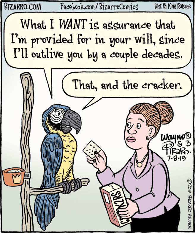 Cartoon OCR: BIZARRO.COM Facebook.com/ BizarroComics Dist Y King Features What I WANT is assurance that I'm provided for in your willsince unoh I'll outlive you by a couple decades. Thatand the cracker. Wayno® w. 7.8-19 ©2019 BIZARRO STUDIOS BIZARRO.COM Facebook.com/ BizarroComics Dist Y King Features What I WANT is assurance that I'm provided for in your willsince unoh I'll outlive you by a couple decades. Thatand the cracker. Wayno® w. 7.8-19 ©2019 BIZARRO STUDIOS
