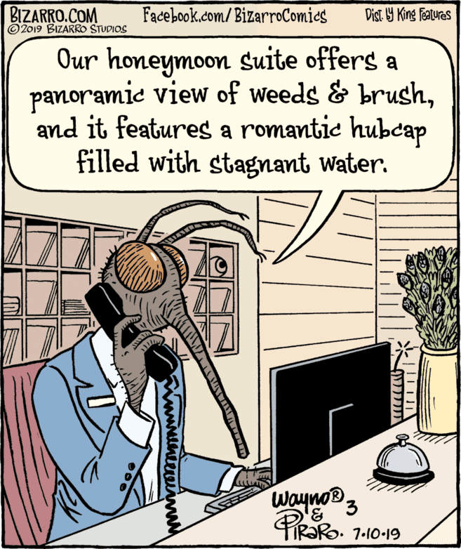 Computer monitor OCR: BIZARRO.COM © 2019 BIZARRO STUDIOS Facebook.com/BizarroComies Dist Y King Features Our honeymoon Suite offers a panoramie view of weeds & brushand it features a romantic hubcap filled with stagnant water. Wayno3 TIR?RO. 1-10-19 BIZARRO.COM © 2019 BIZARRO STUDIOS Facebook.com/BizarroComies Dist Y King Features Our honeymoon Suite offers a panoramie view of weeds & brushand it features a romantic hubcap filled with stagnant water. Wayno3 TIR?RO. 1-10-19