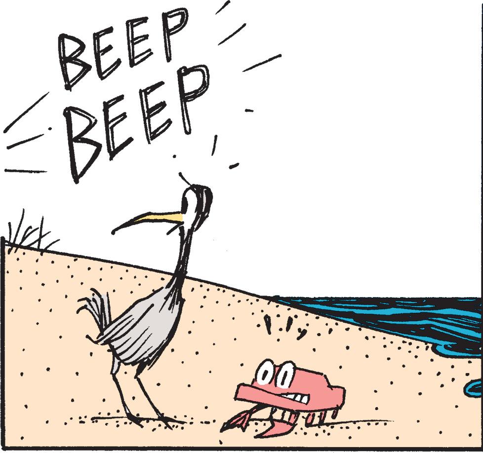 Painting OCR: BEEP BEEP 00 BEEP BEEP 00