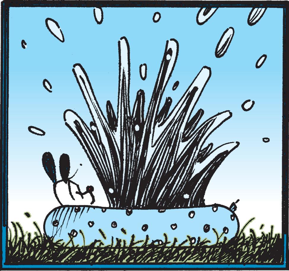 Mutts - Part 2 - 2019-07-12
