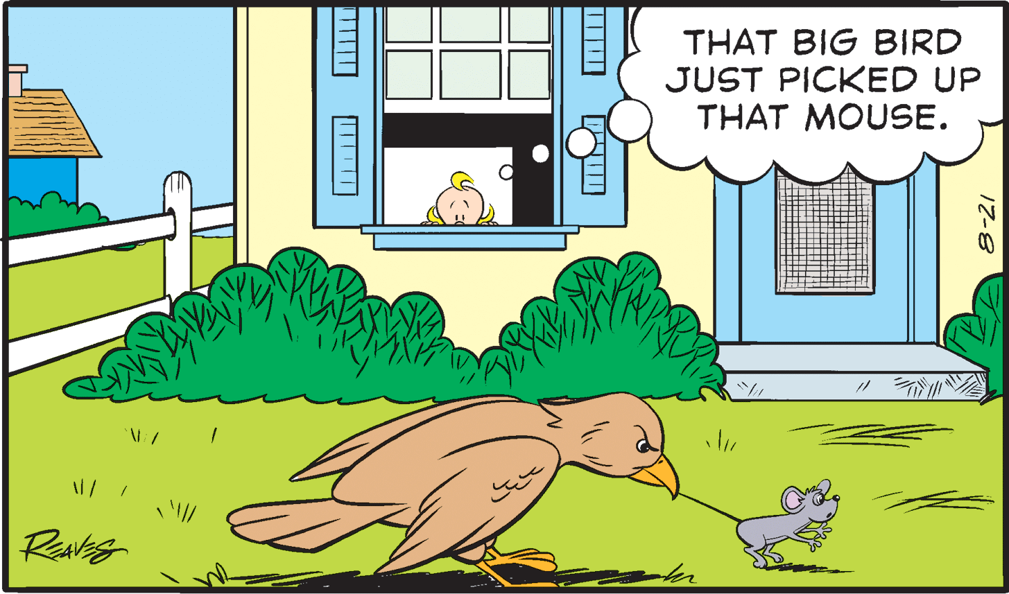 Grass OCR: THAT BIG BIRD JUST PICKED UP THAT MOUSE. ?? 17-8 THAT BIG BIRD JUST PICKED UP THAT MOUSE. ?? 17-8