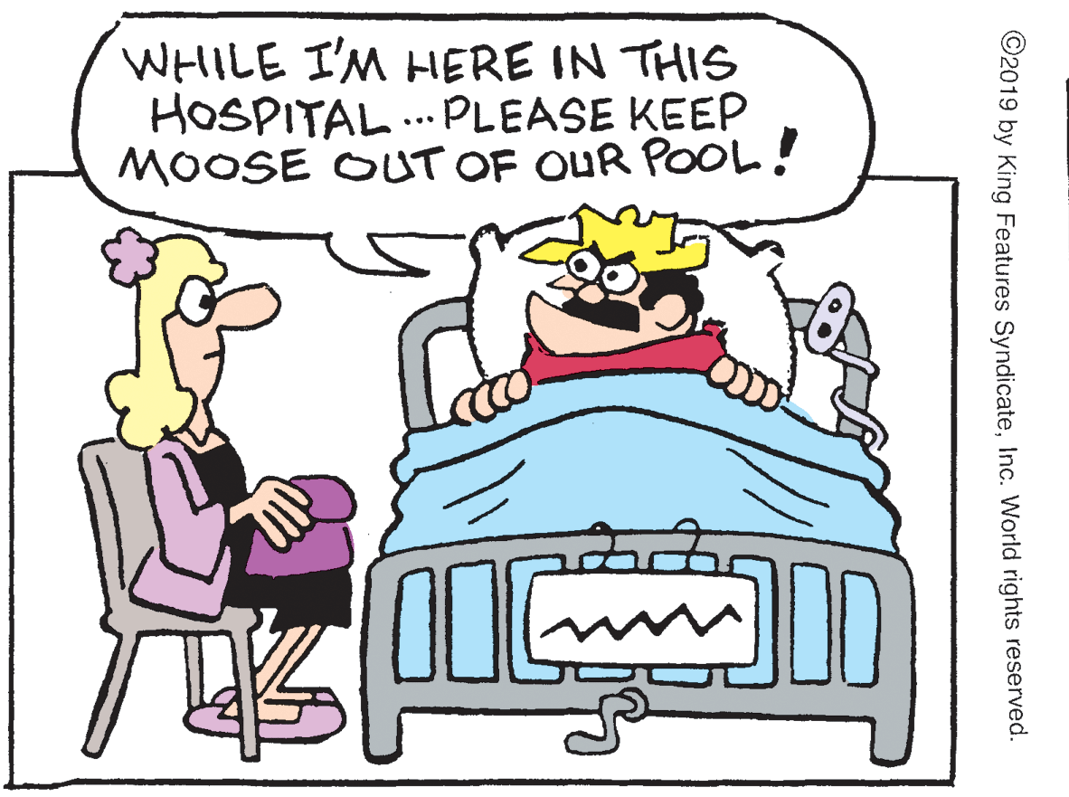 Pleased OCR: WHILE I'M HERE IN THIS HOSPITAL ... PLEASE KEEP MOOSE OUT OF OUR POOL! ©2019 by King Features SyndicateInc. World rights reserved. WHILE I'M HERE IN THIS HOSPITAL ... PLEASE KEEP MOOSE OUT OF OUR POOL! ©2019 by King Features SyndicateInc. World rights reserved.