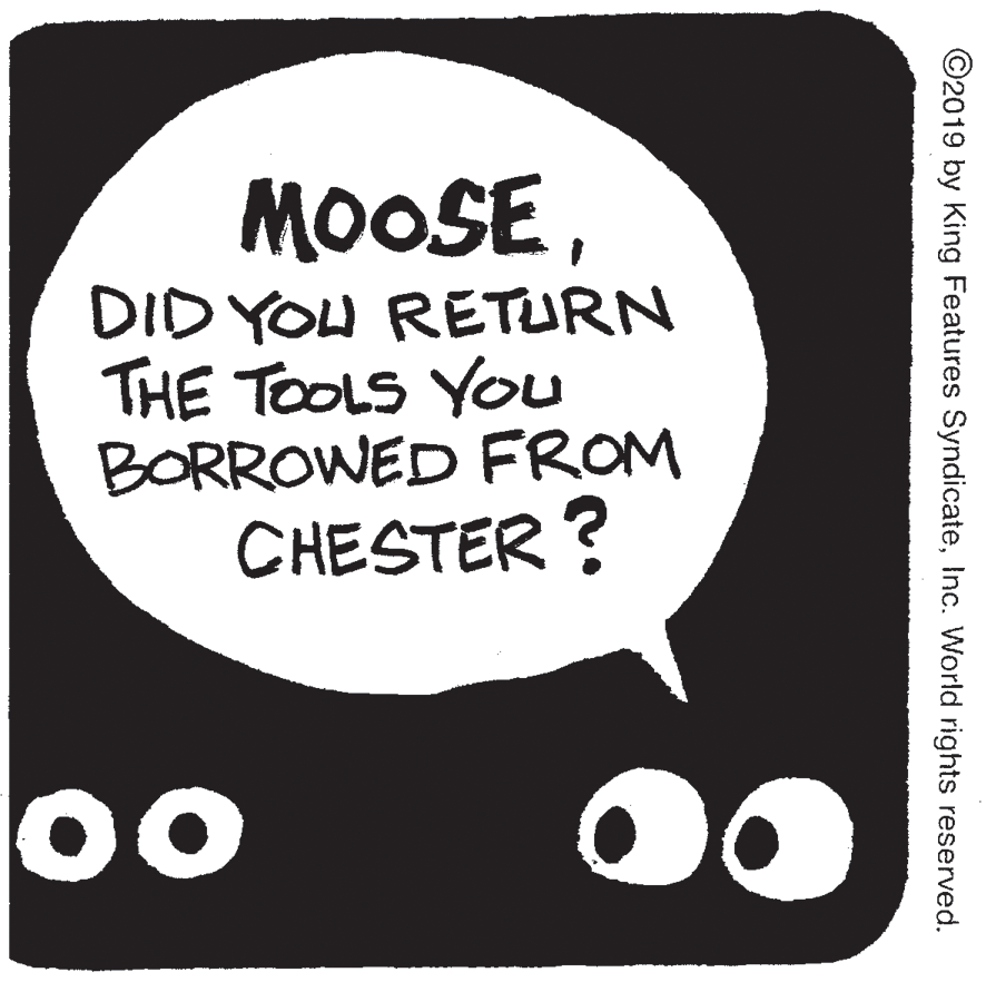 Drawing OCR: MOOSEDID YOU RETURN THE TOOLS YOu BORROWED FROM CHESTER ? 0o ©2019 by King Features SyndicateInc. World rights reserved. MOOSEDID YOU RETURN THE TOOLS YOu BORROWED FROM CHESTER ? 0o ©2019 by King Features SyndicateInc. World rights reserved.