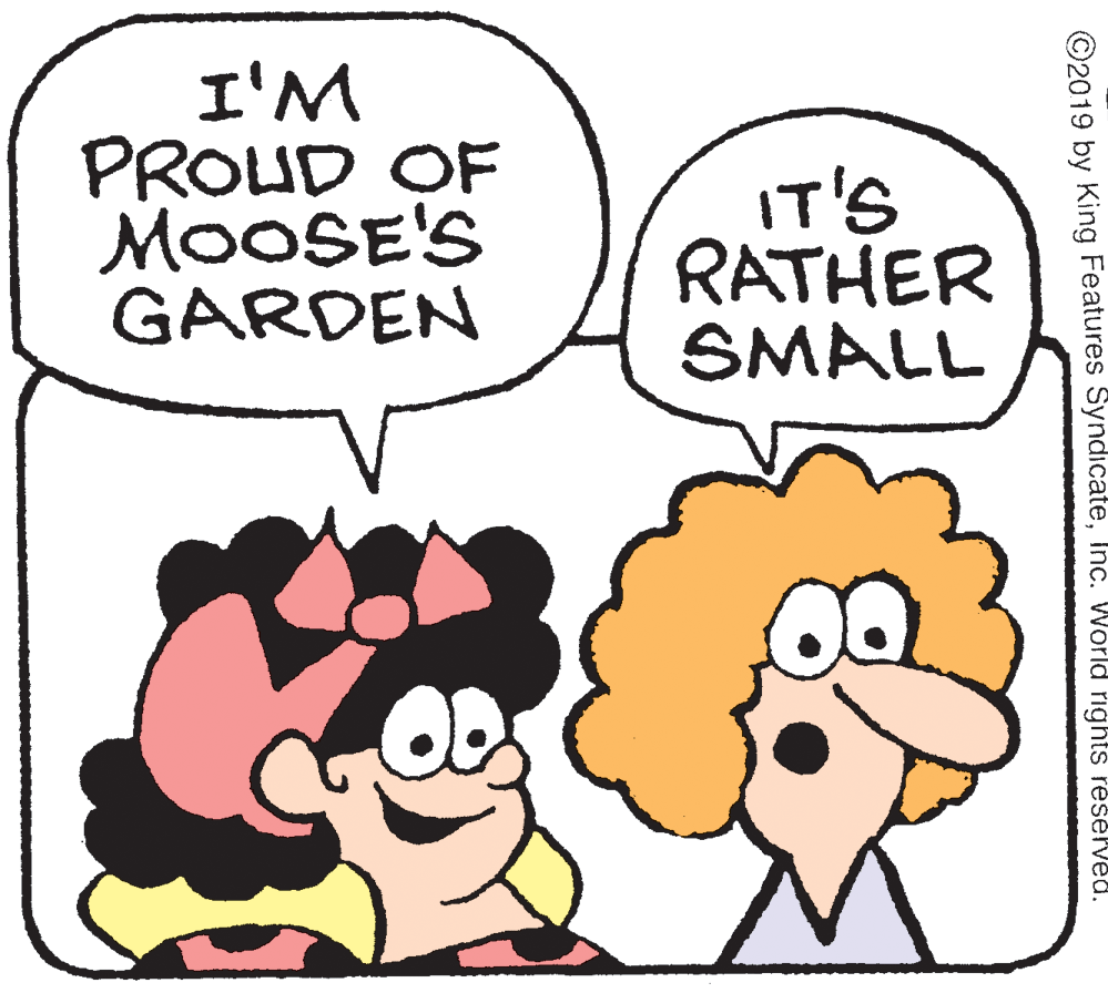 Animation OCR: I'M PROUD OF MOOSE'S GARDEN IT'S RATHER SMALL ©2019 by King Features SyndicateInc. World rights reselved. I'M PROUD OF MOOSE'S GARDEN IT'S RATHER SMALL ©2019 by King Features SyndicateInc. World rights reselved.