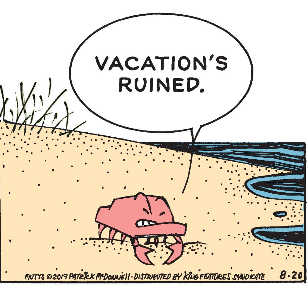 Drawing OCR: VACATION'S RUINED. MUTTS ©2019 PATRICK MDOaniEl DISTRIBUTED BY KiNG FEATURES SWOKATE 8-20 VACATION'S RUINED. MUTTS ©2019 PATRICK MDOaniEl DISTRIBUTED BY KiNG FEATURES SWOKATE 8-20