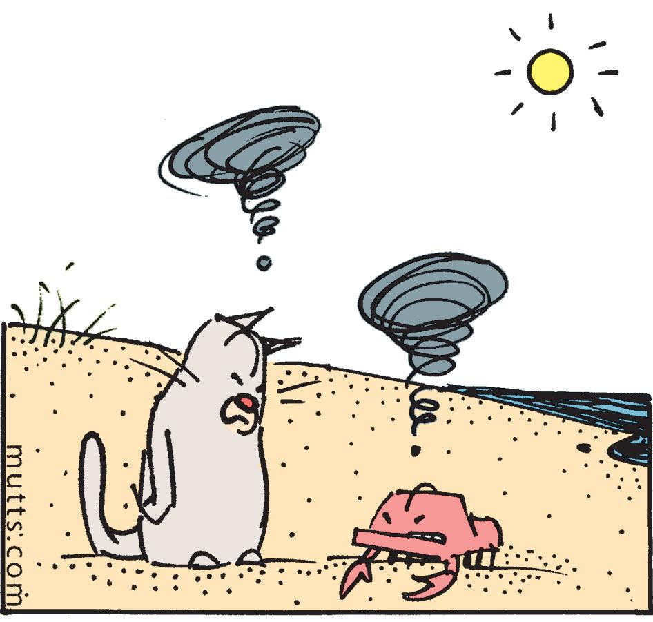 Drawing OCR: mutts.com mutts.com