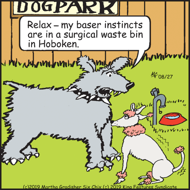 Line OCR: DOGPARKI Relax – my baser instincts are in a surgical waste bin in Hoboken. MG 08/27 (c)2019 Martha Gradisher Six Chix (c) 2019 King Features Syndicate DOGPARKI Relax – my baser instincts are in a surgical waste bin in Hoboken. MG 08/27 (c)2019 Martha Gradisher Six Chix (c) 2019 King Features Syndicate