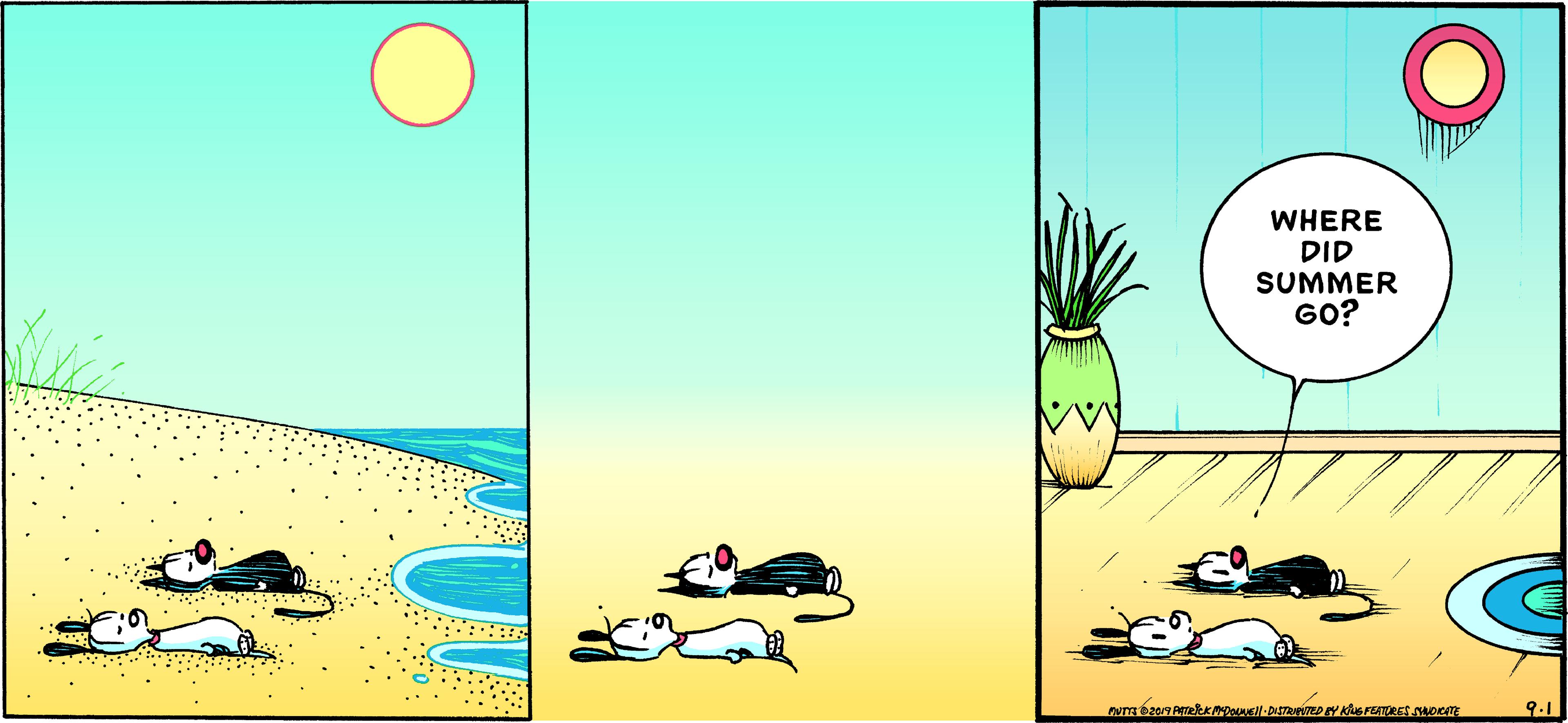 Grass OCR: WHERE DID SUMMER GO? 9.1 WHERE DID SUMMER GO? 9.1