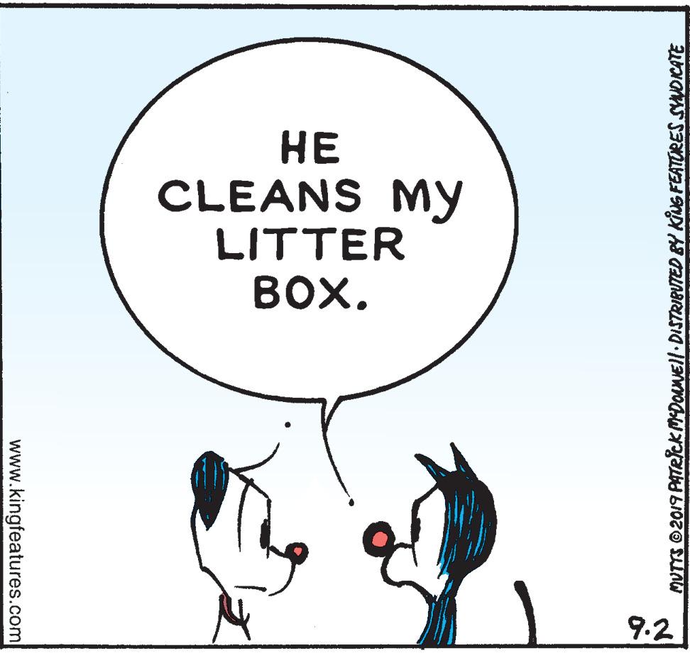 Sharing OCR: ?? CLEANS My LITTER ???. 9.2 MUTTS @2019 PATRCK MDOaNEll DISTRIBUTED BY KING FEATORES SYNDICATE www.kingfeatures.com ?? CLEANS My LITTER ???. 9.2 MUTTS @2019 PATRCK MDOaNEll DISTRIBUTED BY KING FEATORES SYNDICATE www.kingfeatures.com