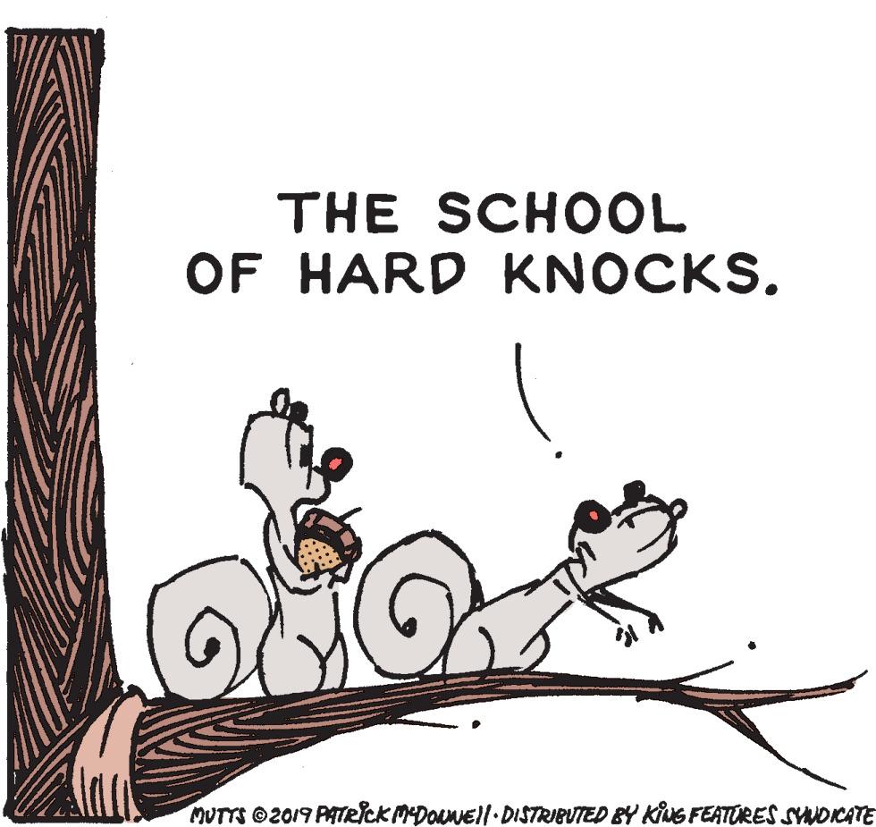 Drawing OCR: THE SCHOOL OF HARD KNOCKS. MUTTS ©2019 PATRICK MDOuNEll DISTRIBUTED BY KiuG FEATURES SYNOKATE THE SCHOOL OF HARD KNOCKS. MUTTS ©2019 PATRICK MDOuNEll DISTRIBUTED BY KiuG FEATURES SYNOKATE
