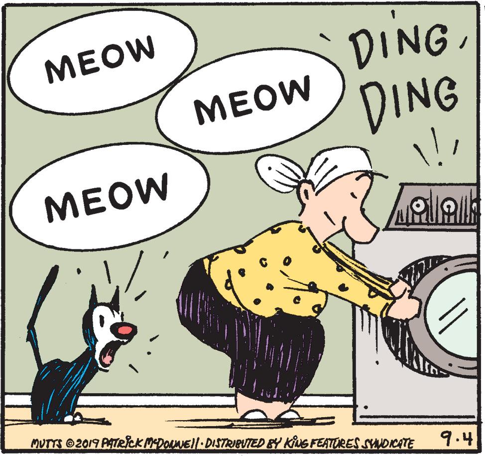 Font OCR: MEOW DING MEOW DING ?EOW MUTTS ©2019 PATRICK MDOuNEll.DISTRIBUTED BY KING FEATORES SYUDIKATE 9.4 MEOW DING MEOW DING ?EOW MUTTS ©2019 PATRICK MDOuNEll.DISTRIBUTED BY KING FEATORES SYUDIKATE 9.4