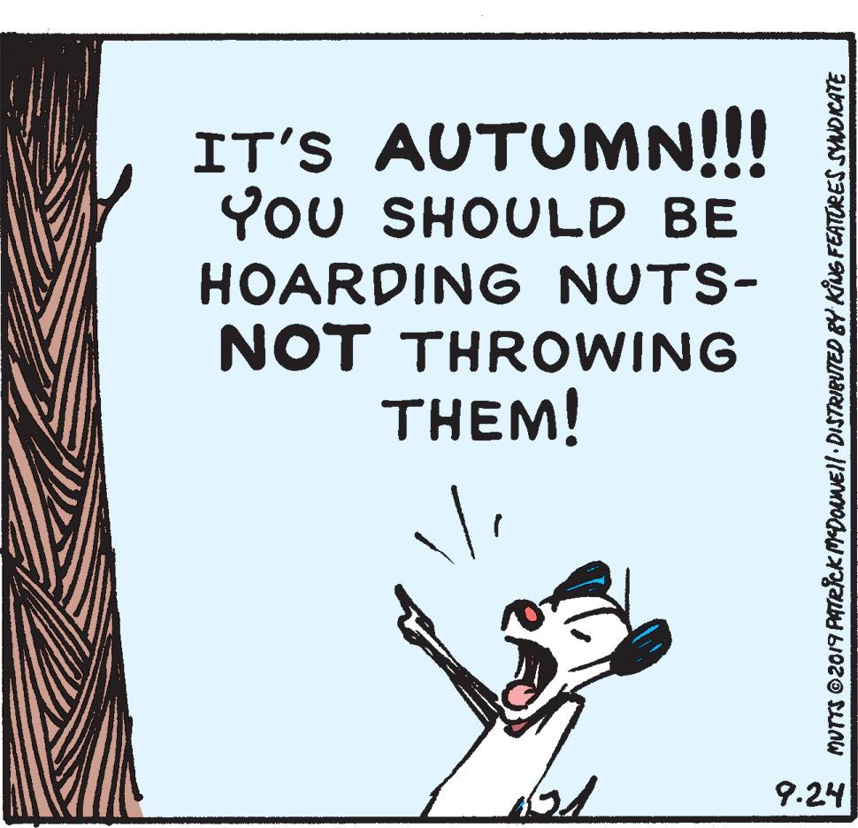 Pleased OCR: IT'S AUTUMN!!! You SHOULD BE HOARDING NUTS- NOT THROWING THEM! 9.24 MUTTS ©2019 PATRick MEDOLNEII DISTRIBUTED BY KING FEATURES SYNDICATE IT'S AUTUMN!!! You SHOULD BE HOARDING NUTS- NOT THROWING THEM! 9.24 MUTTS ©2019 PATRick MEDOLNEII DISTRIBUTED BY KING FEATURES SYNDICATE