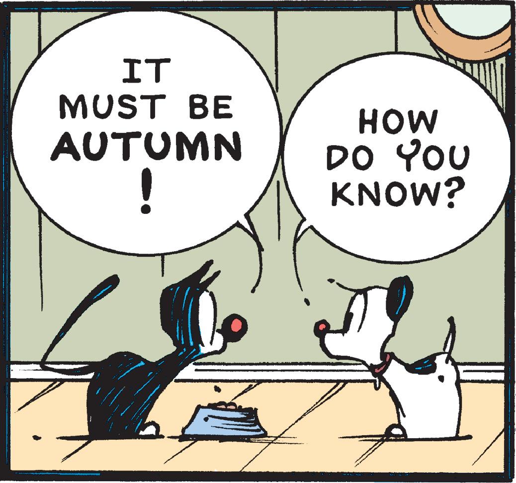 Happy OCR: IT MUST BE HOW DO YOU KNOW? AUTUMN IT MUST BE HOW DO YOU KNOW? AUTUMN