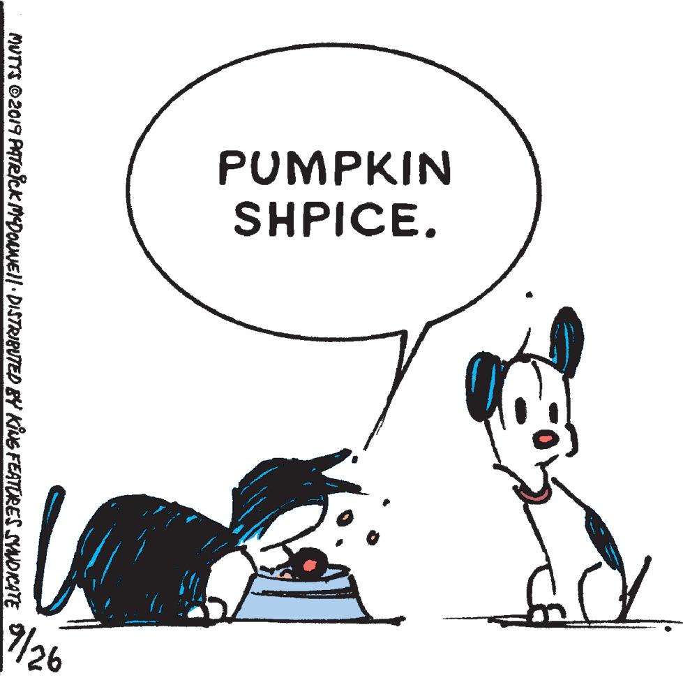 Fictional character OCR: PUMPKIN SHPICE. /26 MUTTS ©2019 PATR?cK MEDOAMIEll DISTRIBUTED BY KING FEATURES SYANDICATE PUMPKIN SHPICE. /26 MUTTS ©2019 PATR?cK MEDOAMIEll DISTRIBUTED BY KING FEATURES SYANDICATE
