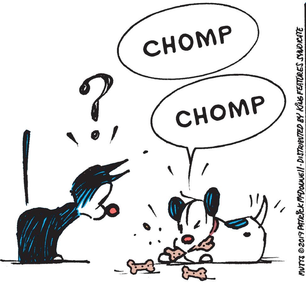 Font OCR: CHOMP CHOMP MUTTS ©2019 PATRICKMDOANEll-DISTRIEUTED &Y KING FEATURES SYNDICATE CHOMP CHOMP MUTTS ©2019 PATRICKMDOANEll-DISTRIEUTED &Y KING FEATURES SYNDICATE