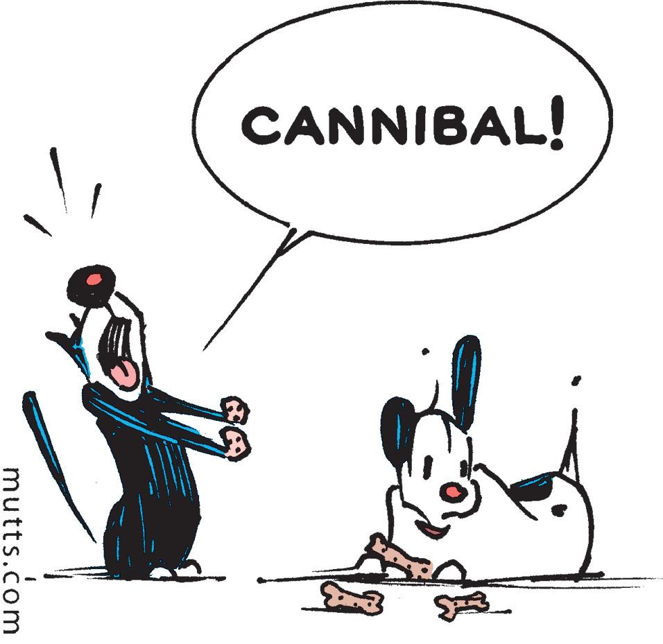 Font OCR: CANNIBAL! mutts.com CANNIBAL! mutts.com