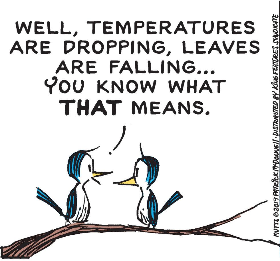 Adaptation OCR: WELLTEMPERATURES ARE DROPPINGLEAVES ARE FALLING... YOU KNOW WHAT THAT MEANS. MUTTS 2019 PATR?CKMEDONNEll DISTRIBUTED BY KING FEATÚRES SYNOICATE WELLTEMPERATURES ARE DROPPINGLEAVES ARE FALLING... YOU KNOW WHAT THAT MEANS. MUTTS 2019 PATR?CKMEDONNEll DISTRIBUTED BY KING FEATÚRES SYNOICATE