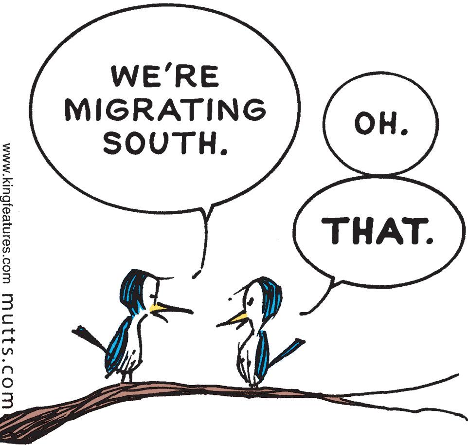 Font OCR: WE'RE MIGRATING SOUTH. ??. THAT. www.kingfeatures.com mutts.com WE'RE MIGRATING SOUTH. ??. THAT. www.kingfeatures.com mutts.com