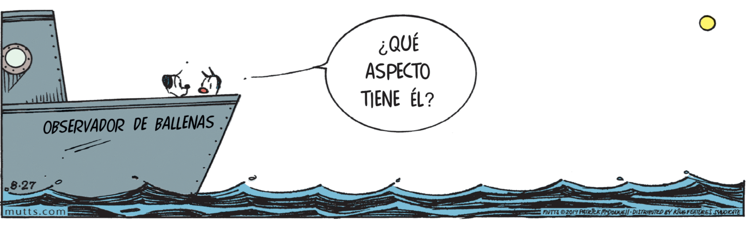 Illustration OCR: ¿QUÉ ASPECTO TIENE ÉL? OBSERVADOR DE BALLENAS 8.27 mutts.com ¿QUÉ ASPECTO TIENE ÉL? OBSERVADOR DE BALLENAS 8.27 mutts.com