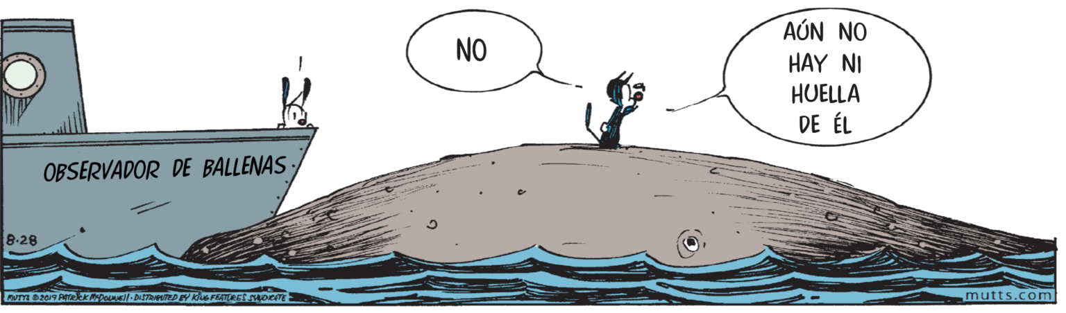 Fish OCR: AÚN NO NO HAY NI HUELLA DE ÉL OBSERVADOR DE BALLENAS 8:28 TUTYE D2019 Perekkpol- DITRUTEDY Ks FEATURES ORTE mutts.com AÚN NO NO HAY NI HUELLA DE ÉL OBSERVADOR DE BALLENAS 8:28 TUTYE D2019 Perekkpol- DITRUTEDY Ks FEATURES ORTE mutts.com