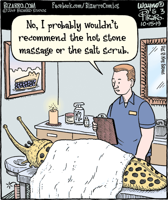 Comics OCR: Wayno® PiRaRo BIZARRO.COM ©2019 BIZARRO STUDIOS Facebook.com/ BizarroComics NoI probably wouldn't recommend the hot stone 10•15-19 massage or the salt scrub. Dist. 9 King Features Wayno® PiRaRo BIZARRO.COM ©2019 BIZARRO STUDIOS Facebook.com/ BizarroComics NoI probably wouldn't recommend the hot stone 10•15-19 massage or the salt scrub. Dist. 9 King Features